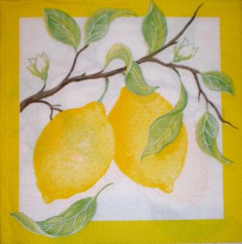 004 Zitronen, Orangen - 3-lagig - Duni - CS