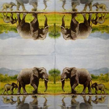 005 Elefant - 3-lagig - Ambiente