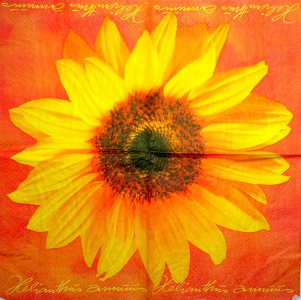 009 Sonnenblumen - 3-lagig (rot) - ti-flair