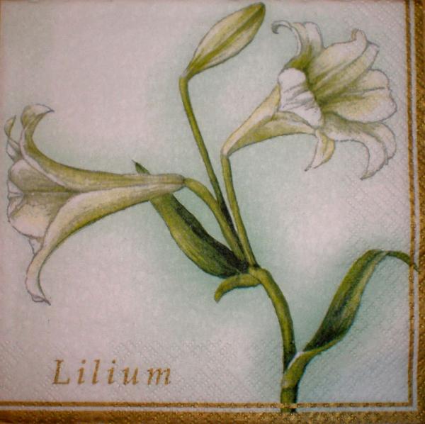 001 Lilien