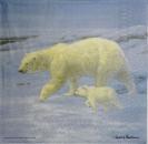057 Eisbären - 3-lagig - Ashdene - James Hautman