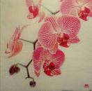 083 Orchideen - 3-lagig - Fasana