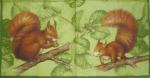 029 Eichhörnchen - 3-lagig (grün) - Ihr