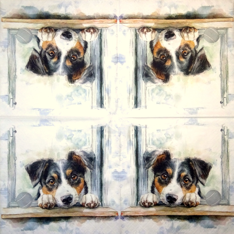 24.03.2026 - NEU category icon/image