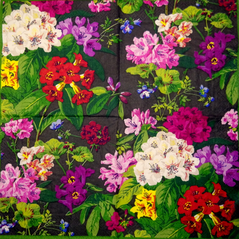 25.01.2026 - Mixed category icon/image