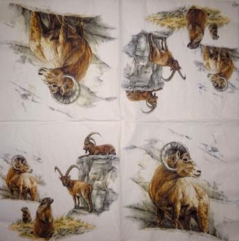 122 Sheep - 3-ply - ppd - Jan Gillibrand