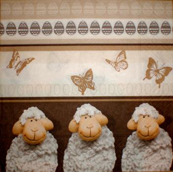 122 Sheep - 3-ply - ppd - Jan Gillibrand