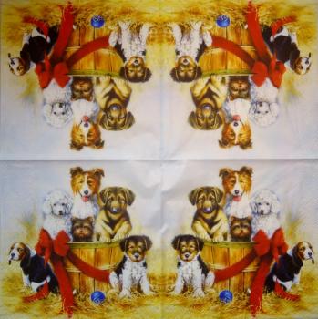 HUN-1509 Dogs - 3-ply - Specials