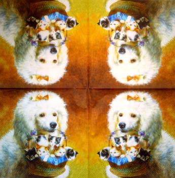 HUN-1510 Dogs - 3-ply - Specials