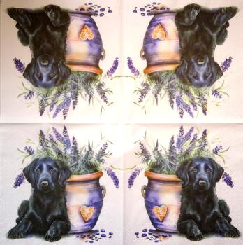 HUN-1511 Hunde - 3-lagig - Specials