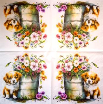 HUN-1512 Dogs - 3-ply - Specials