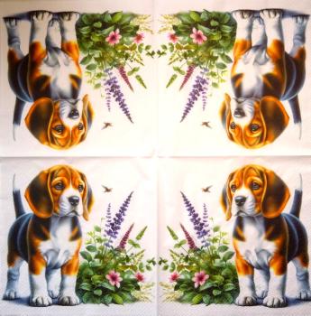 HUN-1513 Dogs - 3-ply - Specials