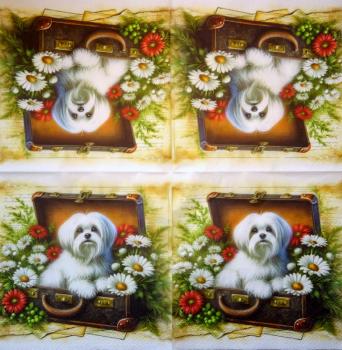 HUN-1520 Dogs - 3-ply - Specials