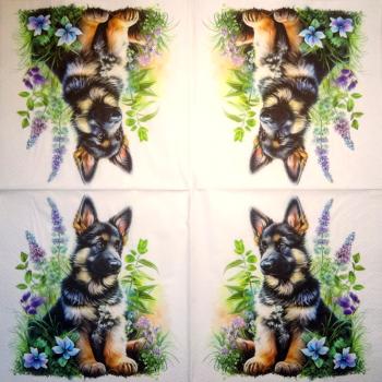 HUN-1524 Dogs - 3-ply - Specials