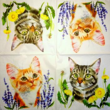 299 Katzen - 3-lagig