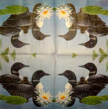 117 Ducks - 3-ply (weiß)