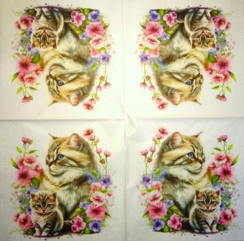 299 Cats - 3-ply