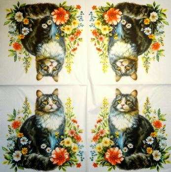 299 Katzen - 3-lagig