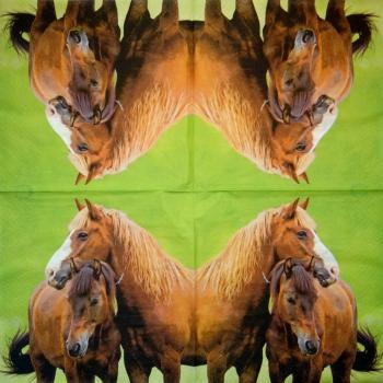 058 Horses (58) - CS