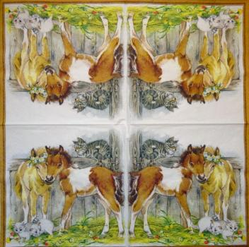 058 Horses (58) - CS