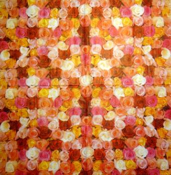 653 Roses - 3-ply