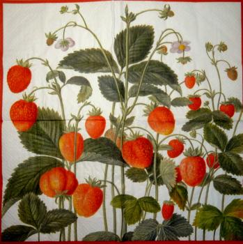080 Roses - 3-ply