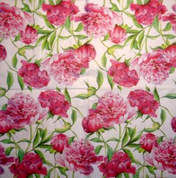 319 Roses - 3-ply (319 B) - Tete a Tete