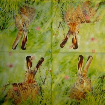 169 Rabbits:  natürlich - 3 ply