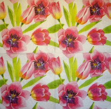 118 Tulpen - 3-lagig - Ambiente