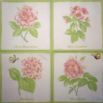 556 Roses - 3-ply -  - Villeroy& Boch