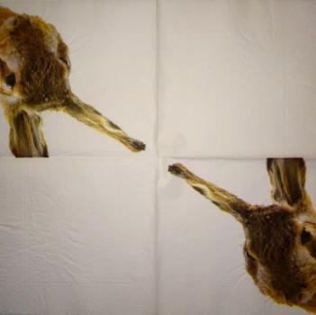 169 Rabbits:  natürlich - 3 ply