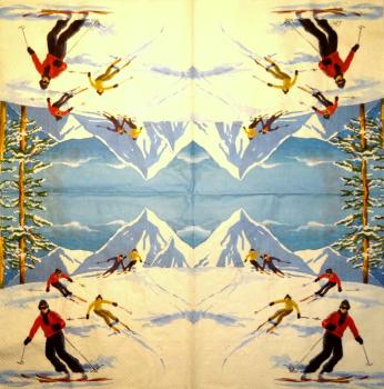 249 Winterlandschaft - 3-lagig