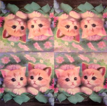 KAT-384 Katzen - 2-lagig