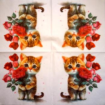 999.106 Katzen - 3-lagig