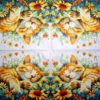 299 Katzen - 3-lagig