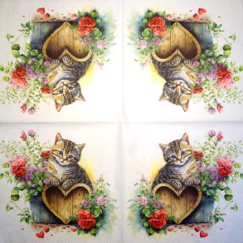 299 Katzen - 3-lagig