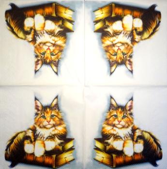 299 Katzen - 3-lagig