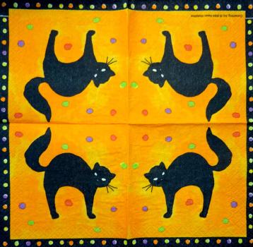 255 Katzen - 3-lagig - Converting 2004 - Helen Vladykina - CS