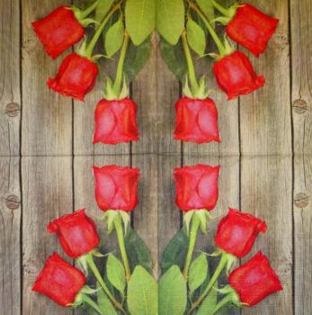 356 Rosen - 3-lagig - ppd - Shutterstock