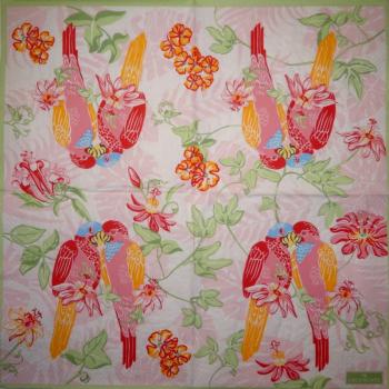 019 Parrot - 3-ply - Ihr