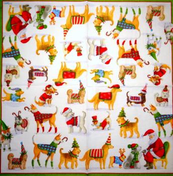 HUN-755 Hunde - 3-lagig - Caspari