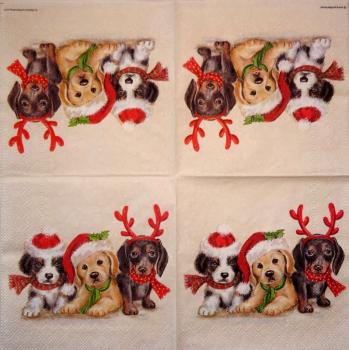 HUN-783 Hunde - 3-lagig - Ambiente