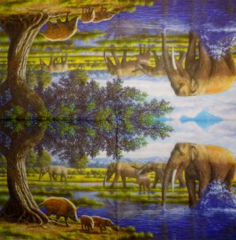 999 Tiere Afrika: Diverse - 3-lagig