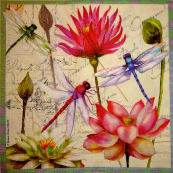 002 Insects - 3-ply - ppd - Adriana Cirstea
