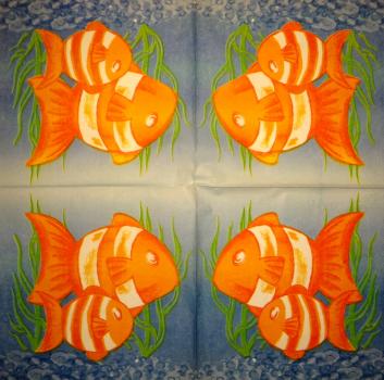 141 Fische - 3-lagig - USA