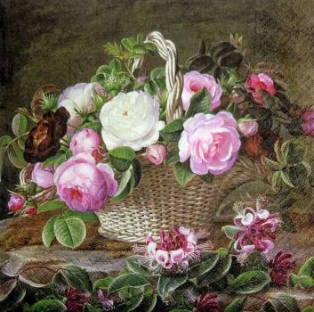 351 Rosen - 3-lagig