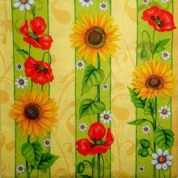 101 Sunflowers - 3-ply - Daisy