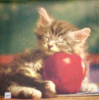 077 Cats - 3-ply - ppd - The Image Bank