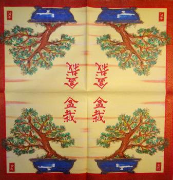 245 Asien - 3-lagig