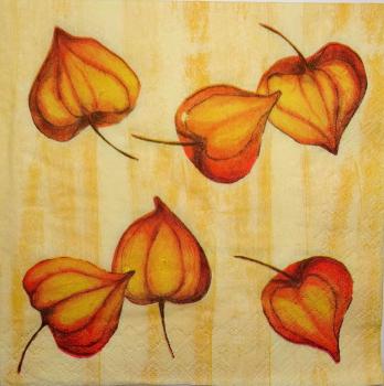 113 Herbst - 3-lagig